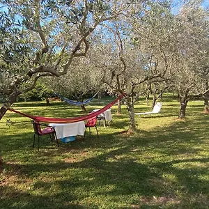 Apartment Gabriela, Poreč